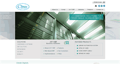Desktop Screenshot of chitaledigitals.com